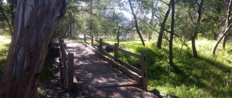 COMFORT INN COACH AND BUSHMANS - South Australia Travel 4