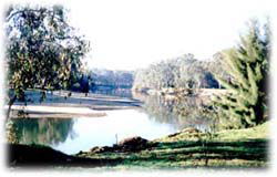 Corowa Golf Club Motel - South Australia Travel 0