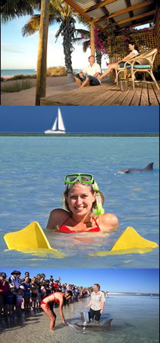 Monkey Mia Dolphin Resort - South Australia Travel 0
