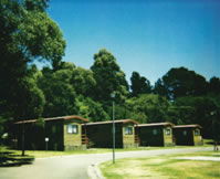 Katoomba Falls Caravan Park - South Australia Travel 0