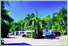 Tropical Hibiscus Caravan Park - South Australia Travel 0