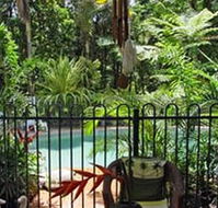 Daintree Rainforest Retreat Motel - South Australia Travel