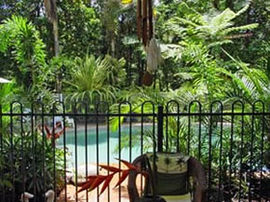 Daintree Rainforest Retreat Motel - South Australia Travel 0