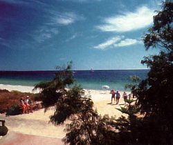 Acacia Caravan Park - South Australia Travel 0