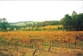  South Australia Travel