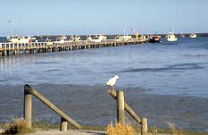 Port Macdonnell SA South Australia Travel