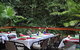 Daintree Rainforest Retreat Motel - thumb 1