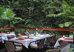 Daintree Rainforest Retreat Motel - South Australia Travel 1