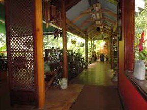 Daintree Rainforest Retreat Motel - South Australia Travel 2