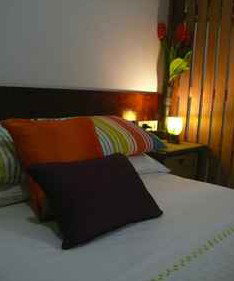 Daintree Rainforest Retreat Motel - South Australia Travel 3