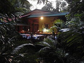 Daintree Rainforest Retreat Motel - South Australia Travel 4