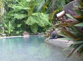 Daintree Rainforest Retreat Motel - South Australia Travel 5