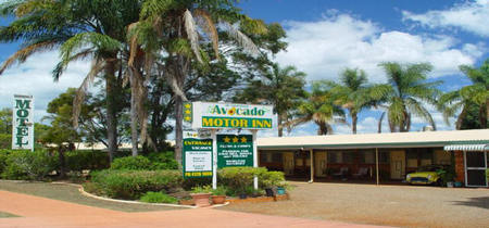 Avocado Motor Inn - South Australia Travel 0