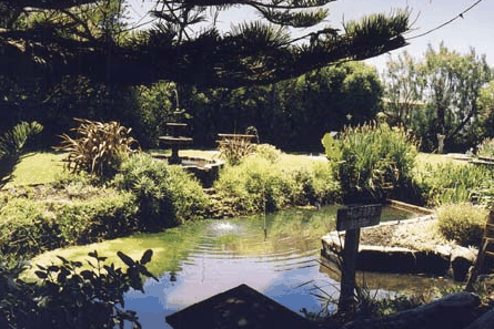 Bayside Gardens - South Australia Travel