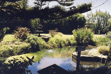 Bayside Gardens - South Australia Travel 0
