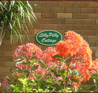 Lillypilly - South Australia Travel