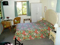 Kuranda Rainforest Accommodation Park - South Australia Travel 2