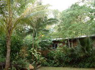 Kuranda Rainforest Accommodation Park - South Australia Travel 3