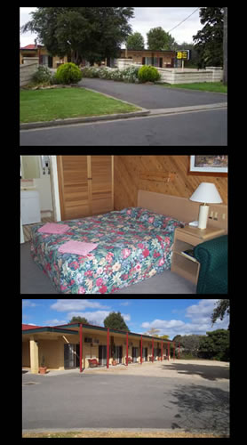 Ace Swan Motel - South Australia Travel 0