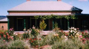 Old Wallinga Country - South Australia Travel 0