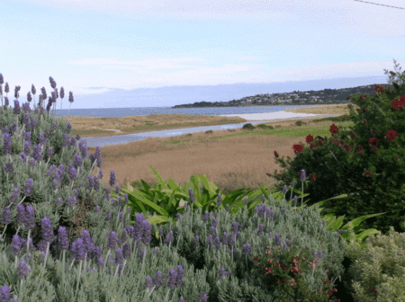 A Great Ocean View Motel - South Australia Travel 2