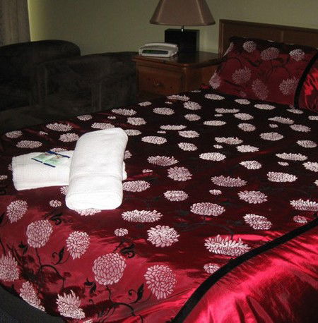 Riverbank Park Motel - South Australia Travel 1
