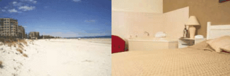 Buffalo Motor Inn - South Australia Travel 4