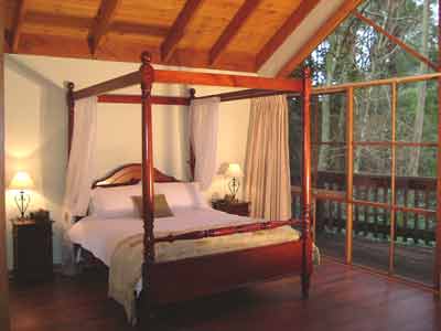 Belle Le Vie (Luxury B&B) - South Australia Travel 2