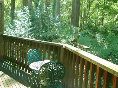 Belle Le Vie (Luxury B&B) - South Australia Travel 4