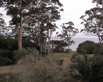The Denmark Waterfront - South Australia Travel 0