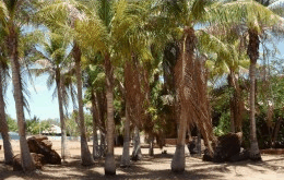 King Sound Resort Hotel - South Australia Travel