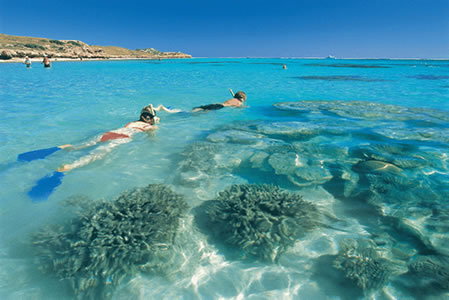 Ningaloo Reef Resort - South Australia Travel 0
