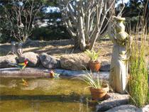Murray Gardens Motel And Cottages - South Australia Travel 2