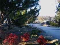 Murray Gardens Motel And Cottages - South Australia Travel 3