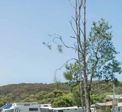Merry Beach Caravan Park - South Australia Travel 2