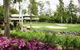 Bonville International Golf Resort - thumb 4