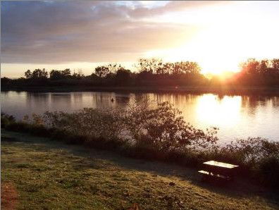 Colonial Court Motor Inn - South Australia Travel 2