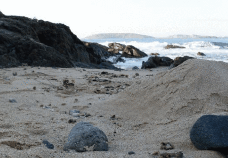 Hawaiian Sands Motor Inn - South Australia Travel 4