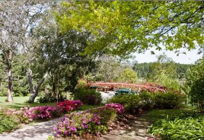 Bilpin Resort - South Australia Travel 2