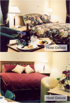 Loxton Community Hotel Motel - South Australia Travel 0