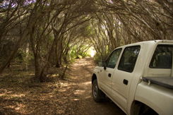 Nampara Cabins - South Australia Travel 1