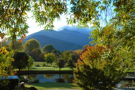 Dreamers Spa Resort - South Australia Travel 4