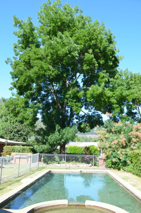 Bright Colonial Inn Motel - South Australia Travel 4