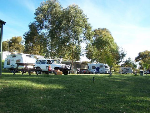 Robinvale Weir Caravan Park - South Australia Travel 2