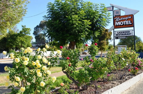 Narrogin Motel - South Australia Travel 0