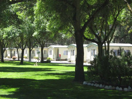 BIG 4 Barossa Tourist Park - South Australia Travel 0