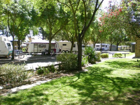 BIG 4 Barossa Tourist Park - South Australia Travel 1