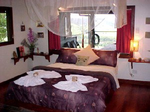 Daintree Cloud 9 - South Australia Travel 0