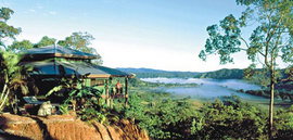 Daintree Cloud 9 - South Australia Travel 1