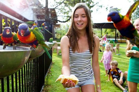 Noosa North Shore Retreat - South Australia Travel 5